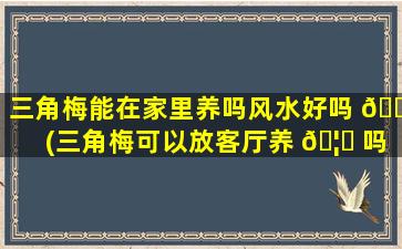 三角梅能在家里养吗风水好吗 🌺 (三角梅可以放客厅养 🦋 吗)